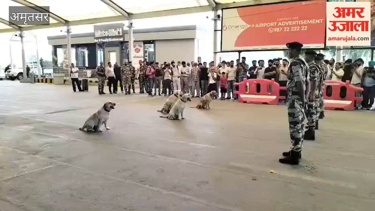 Dog 'Max' Given Honorable Farewell at Amritsar Airport; Personnel Get Emotional