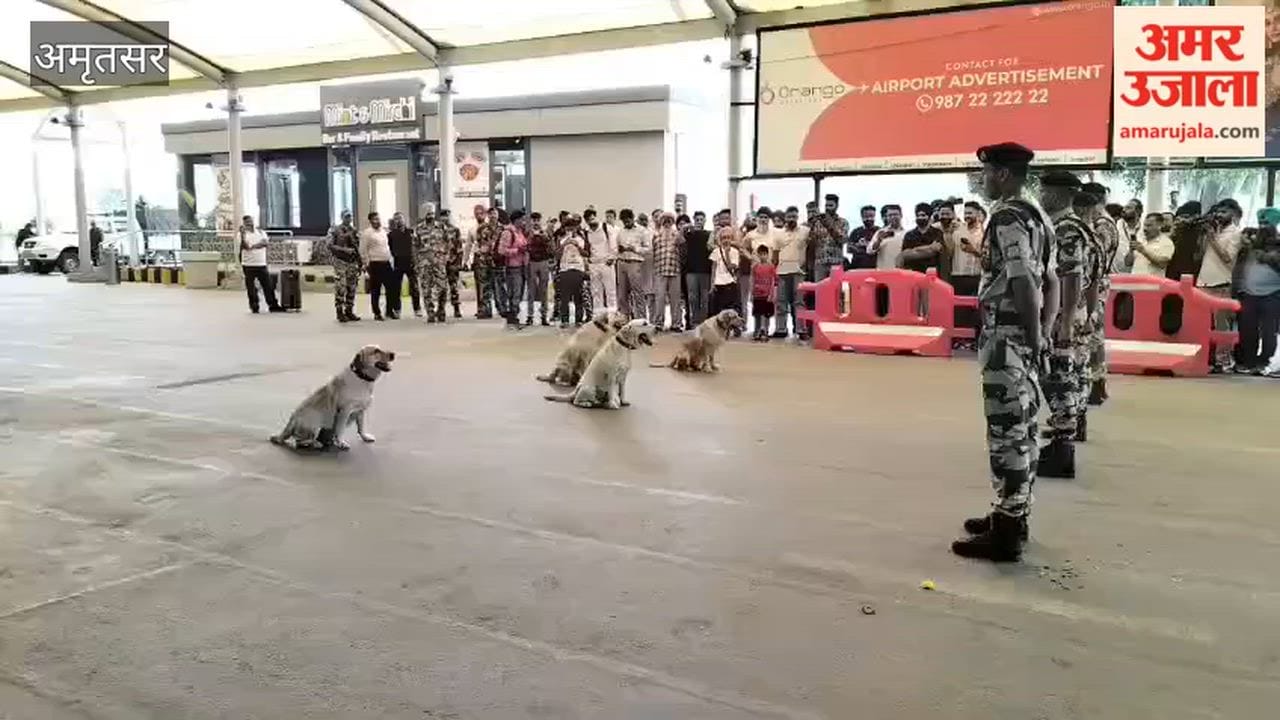 Dog 'Max' Given Honorable Farewell at Amritsar Airport; Personnel Get Emotional