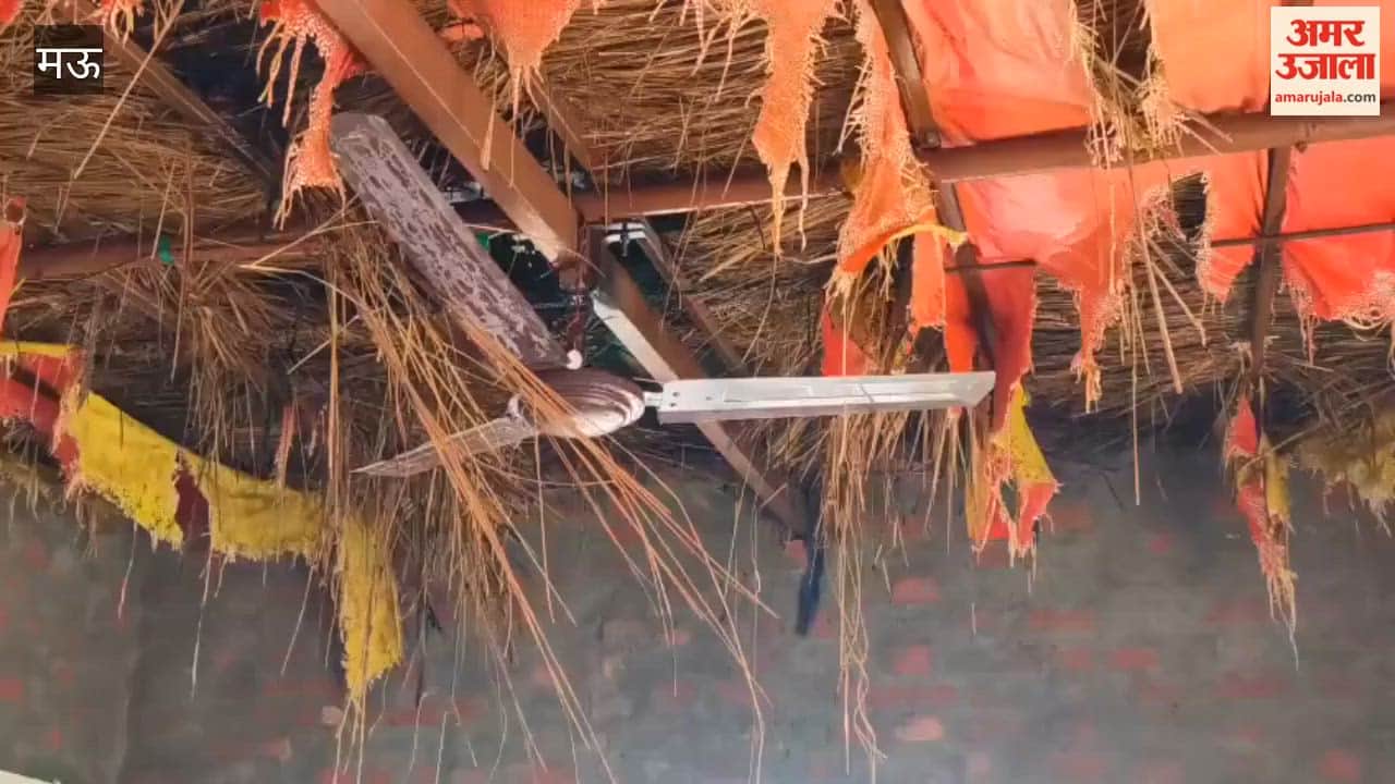 HT Wire Falls on LT Wire Cattle Die Due Short Circuit in Village