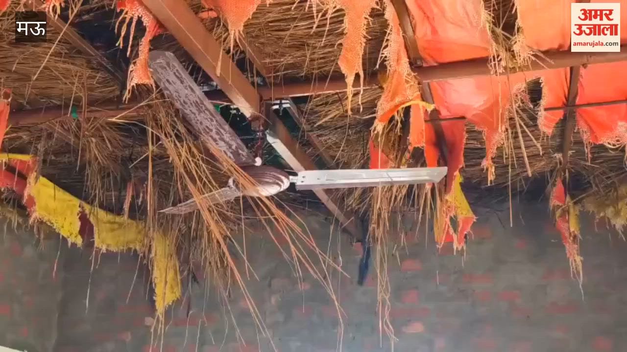 HT Wire Falls on LT Wire Cattle Die Due Short Circuit in Village