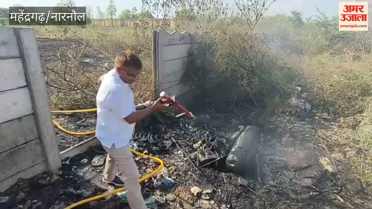 fire in the park