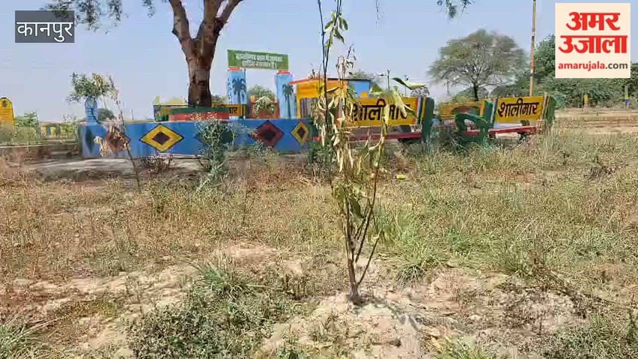 Shalimar Bagh: Lush Slogans on the Outside, Dying Plants Taking Their Last Breaths Within