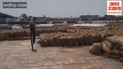 Wheat gets wet due to rain at the Dana Mandi in Firozpur city.