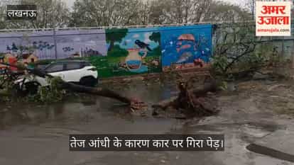 VIDEO: इंजीनियरिंग कॉलेज में तेज आंधी के कारण कार पर गिरा पेड़