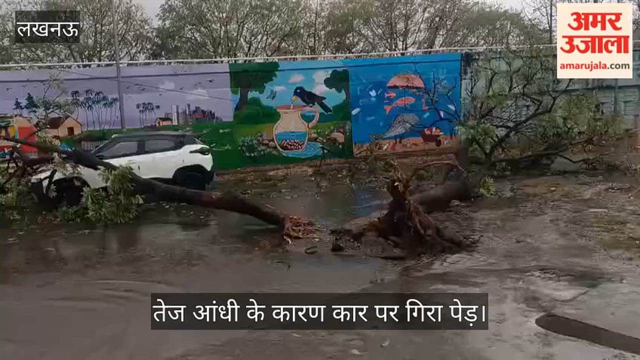 VIDEO: इंजीनियरिंग कॉलेज में तेज आंधी के कारण कार पर गिरा पेड़
