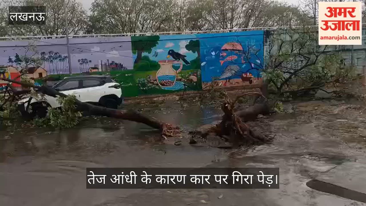 VIDEO: इंजीनियरिंग कॉलेज में तेज आंधी के कारण कार पर गिरा पेड़