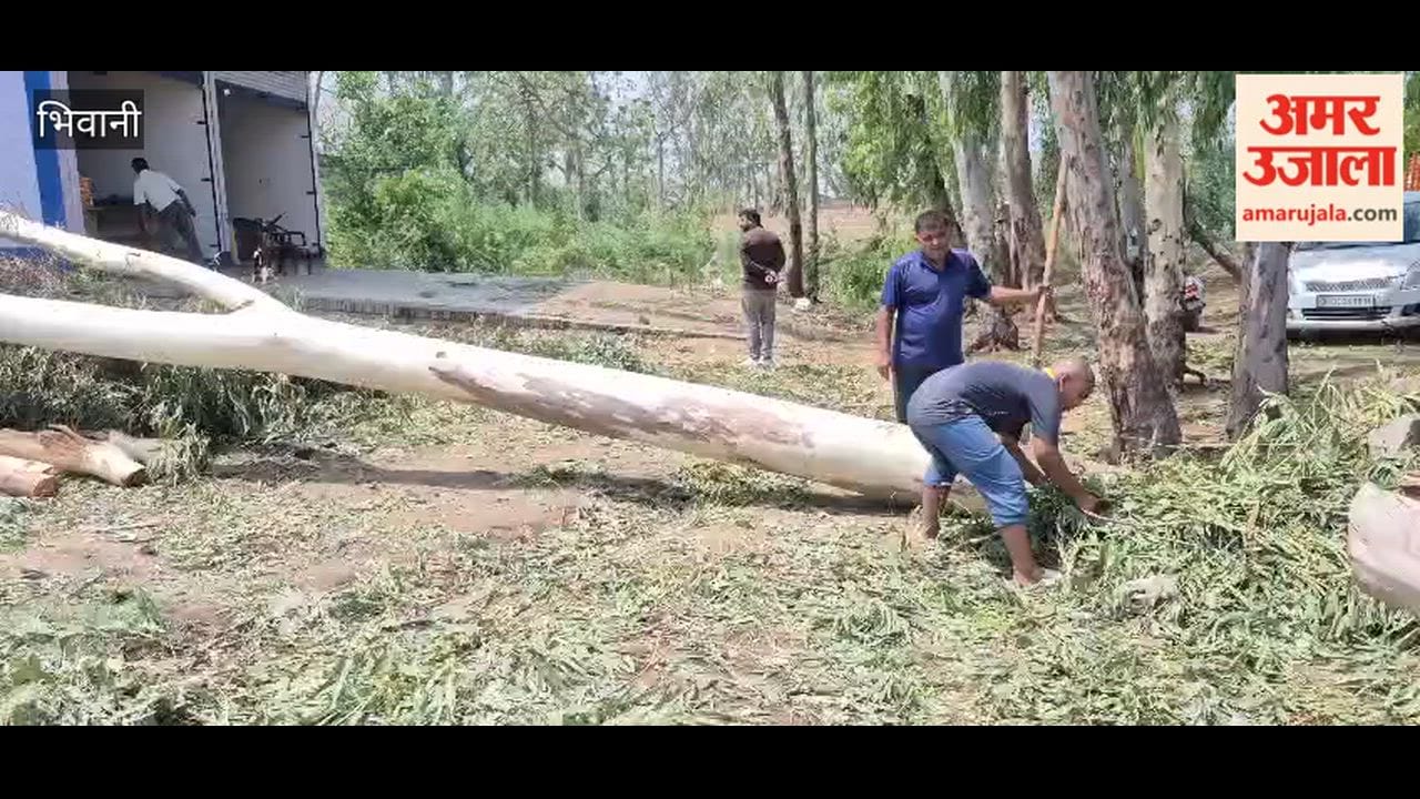 Heavy rain caused havoc