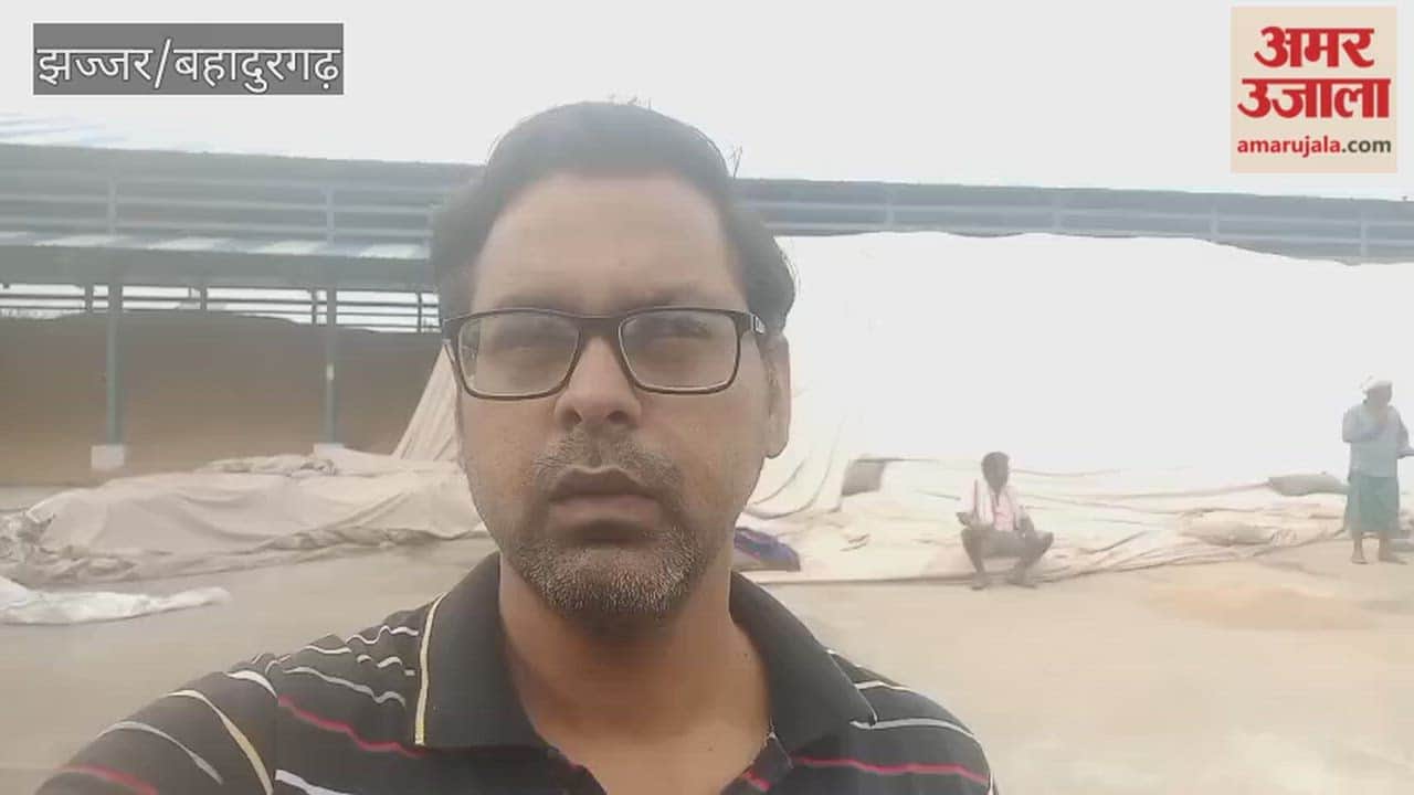 Rain in Jhajjar again wets wheat in the market
