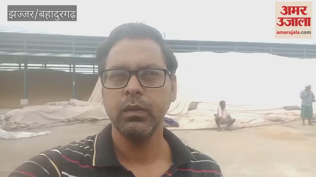 Rain in Jhajjar again wets wheat in the market