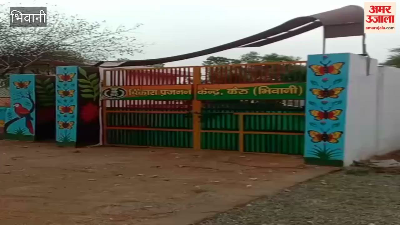 The boundary wall of Kairu Chinkara Breeding Center collapsed due to strong storm.