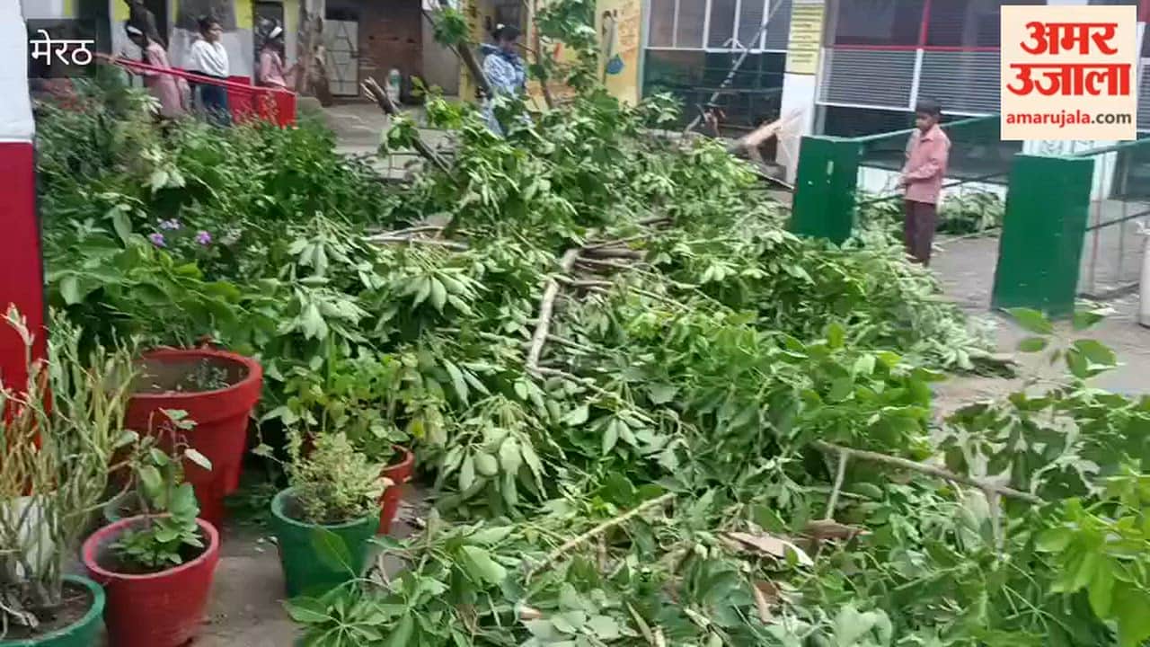Meerut: Huge Tree Falls on Government School Building During Storm, Lintel Develops Crack