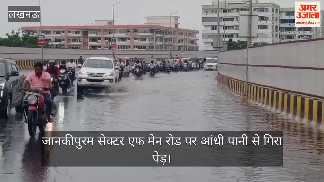 VIDEO: जानकीपुरम सेक्टर एफ मेन रोड पर आंधी पानी से गिरा पेड़, आवागमन में हो रही मुश्किल