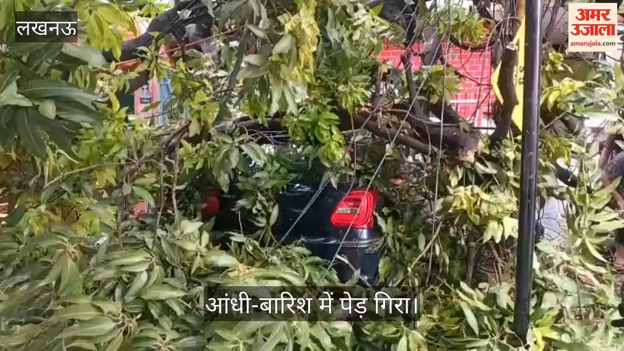 VIDEO: आंधी-बारिश में पेड़ गिरा, 11 केवी लाइन टूटी, कई घंटे बिजली बाधित