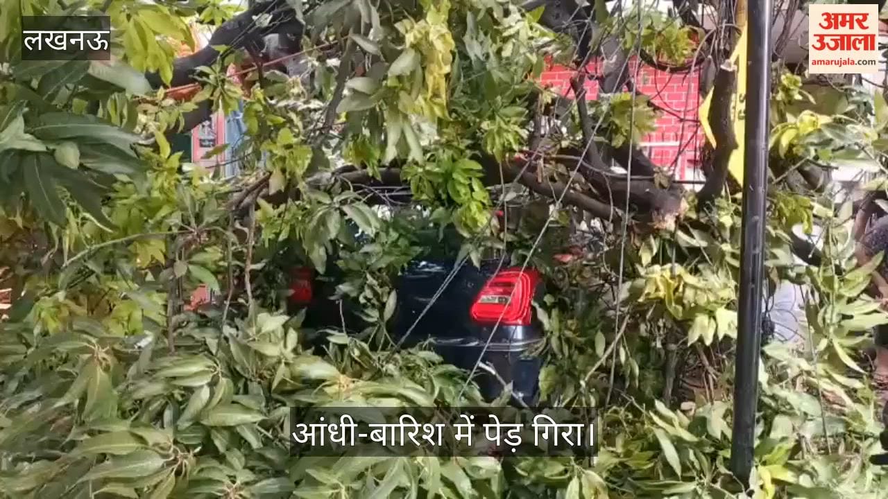 VIDEO: आंधी-बारिश में पेड़ गिरा, 11 केवी लाइन टूटी, कई घंटे बिजली बाधित