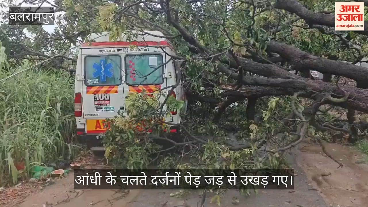 VIDEO: आंधी-बारिश से भारी नुकसान, पेड़ गिरने से एंबुलेंस हादसे का शिकार