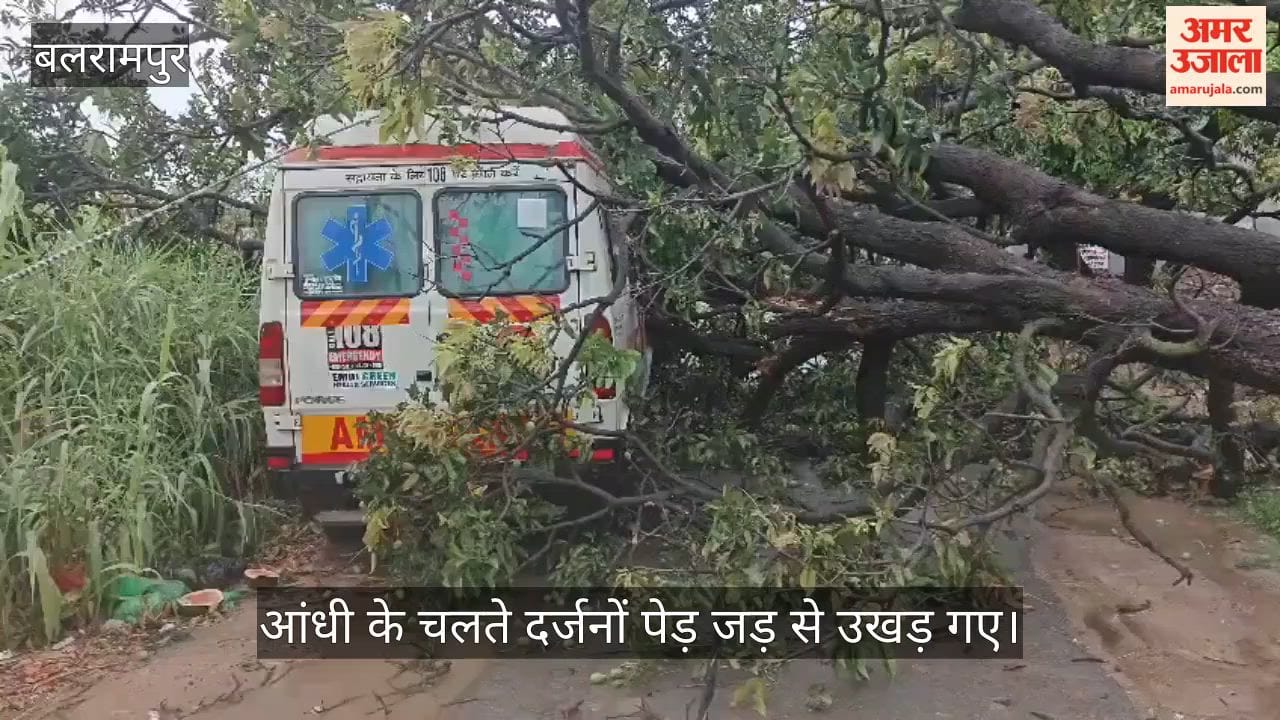 VIDEO: आंधी-बारिश से भारी नुकसान, पेड़ गिरने से एंबुलेंस हादसे का शिकार