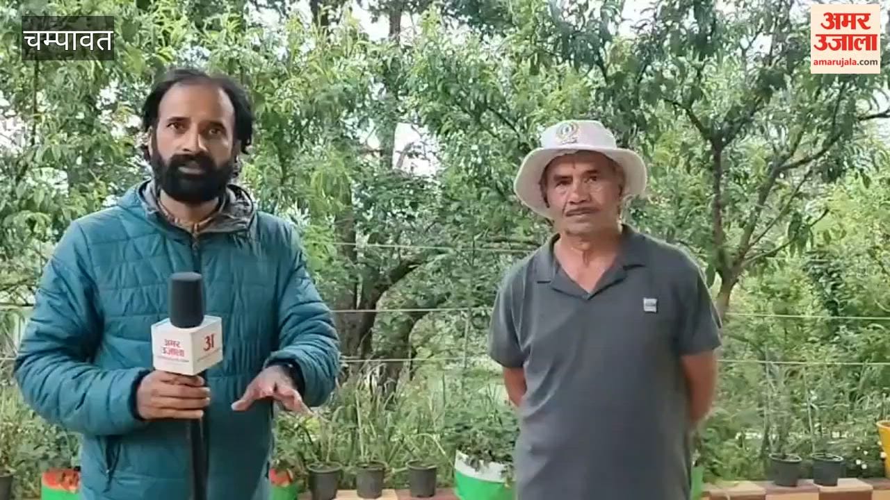 Hundreds of farmers' crops destroyed due to hailstorm in Champawat, causing losses worth lakhs