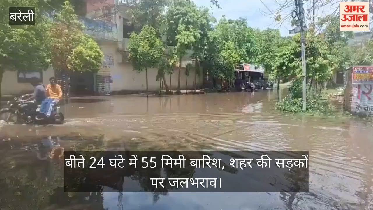 55 mm of rainfall in the past 24 hours in Bareilly