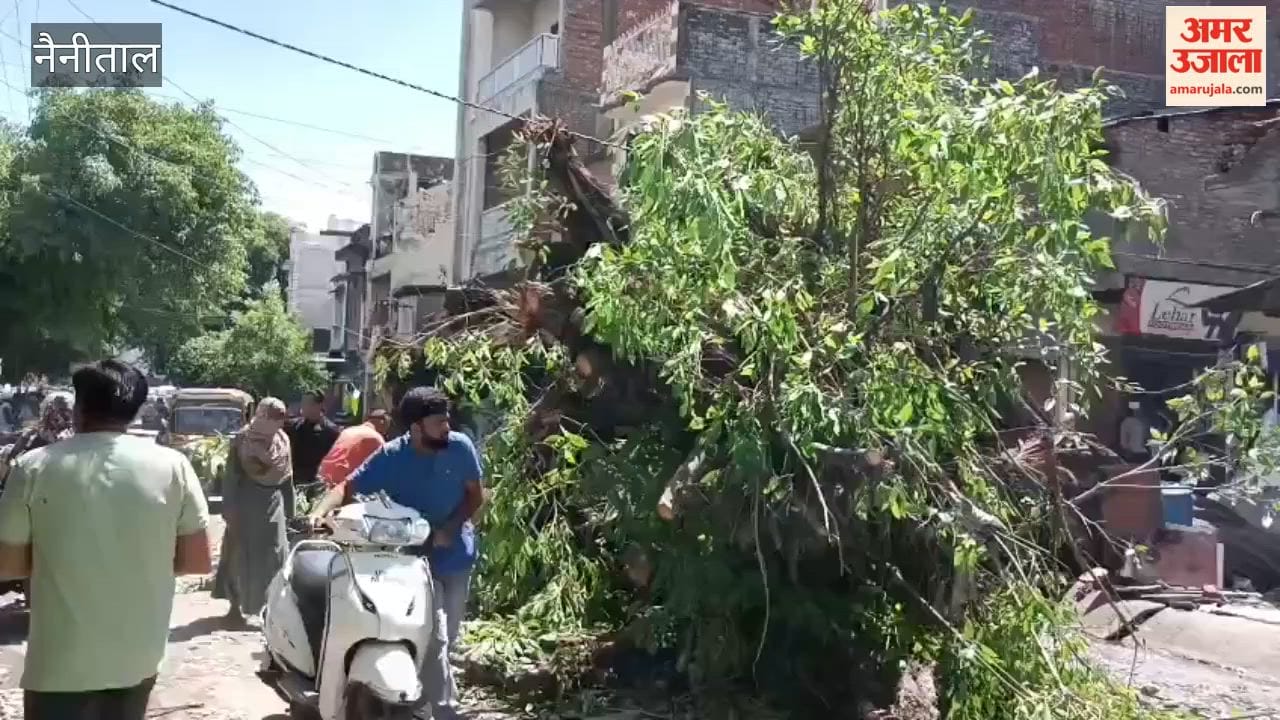 years-old tree fell in Banbhulpura Line No. 17 due to the storm that came at night