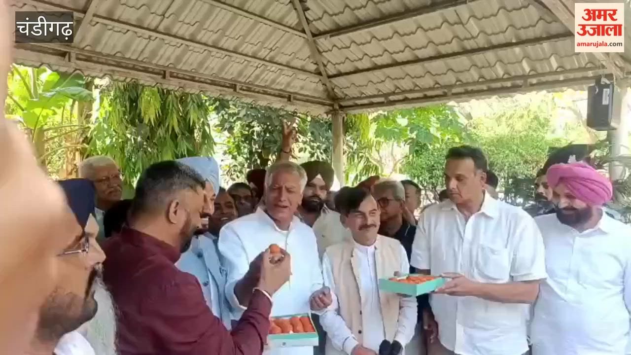 Punjab BJP Celebrates BJP's Victory in Bengal