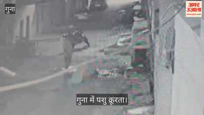 A sick dog was beaten to death in Guna, tied to a vehicle with a rope and dragged