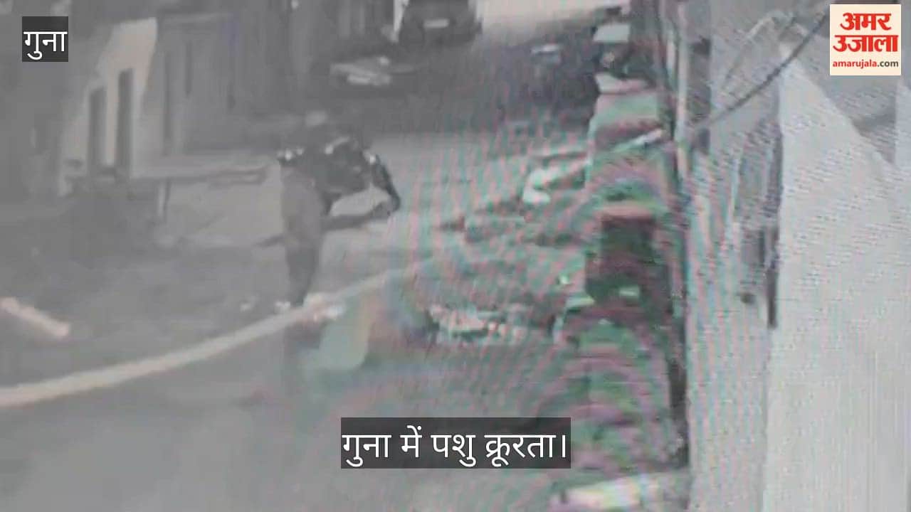 A sick dog was beaten to death in Guna, tied to a vehicle with a rope and dragged