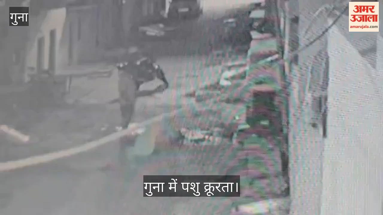 A sick dog was beaten to death in Guna, tied to a vehicle with a rope and dragged