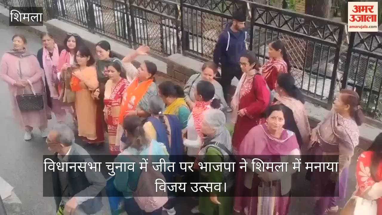 BJP Celebrates 'Victory Festival' in Shimla Following Assembly Election Win