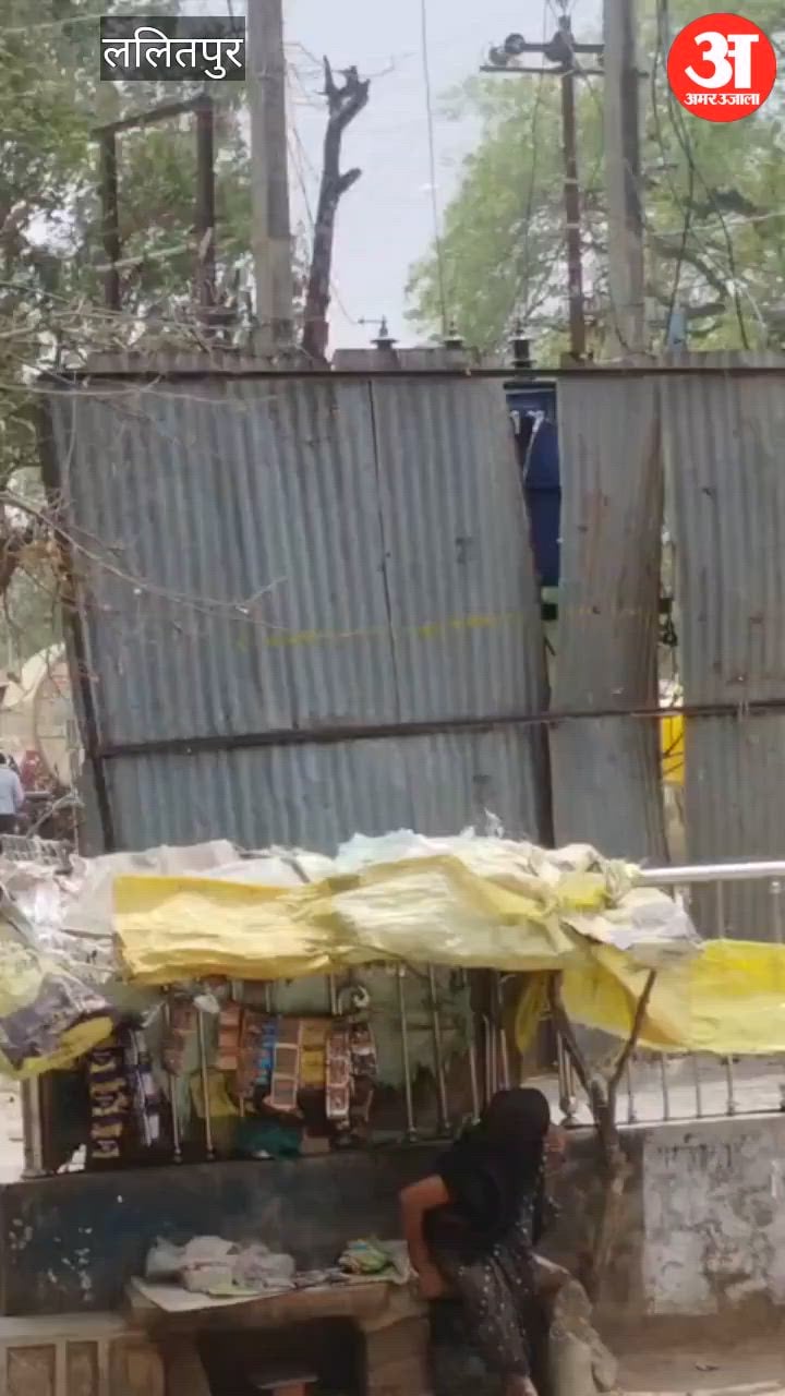 Talbhat तालबेहट में आंधी का कहर, पुराना पेड़ हुआ धराशाई, चपेट में आए वाहन और ...