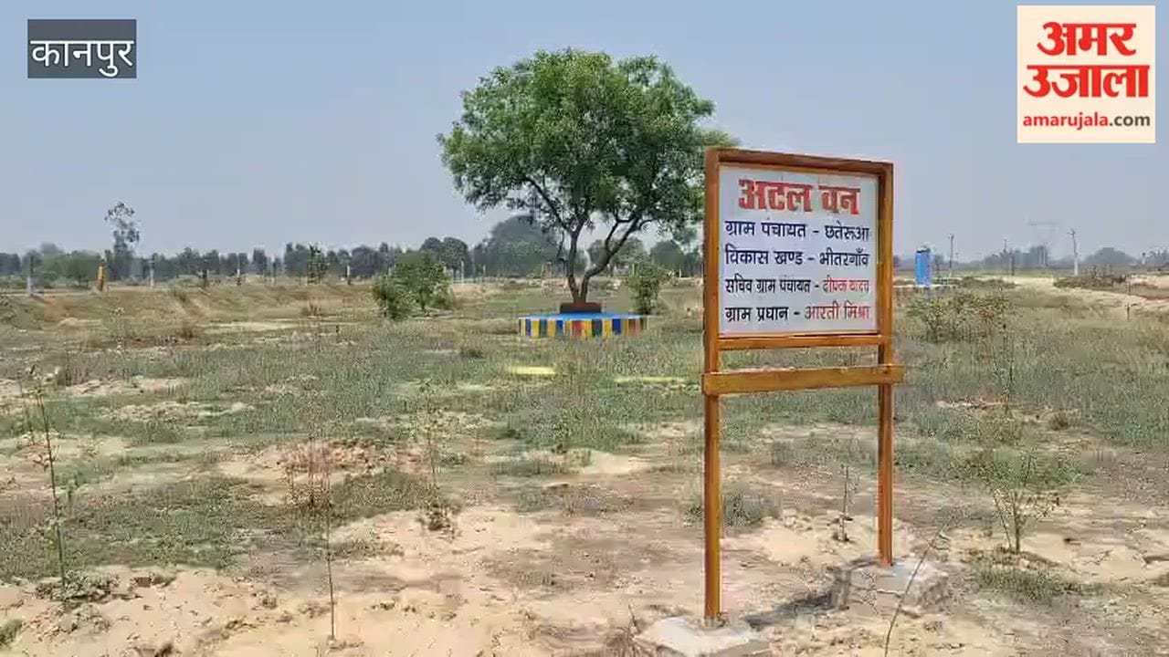 A Thirsty 'Atal Van' in the Scorching Afternoon: Thousands of Saplings Wither Due to Neglect