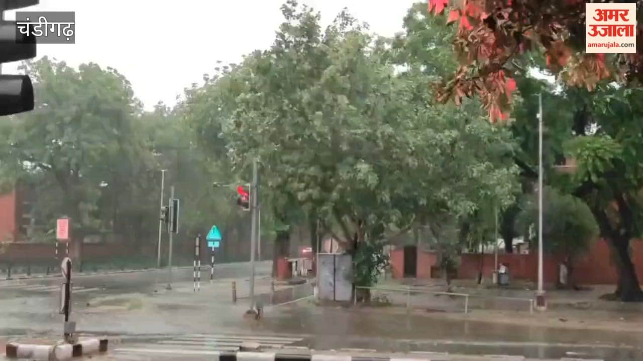 weather takes a turn in Punjab; heavy rains accompanied by strong winds lash Chandigarh, Panchkula, and Mohali.