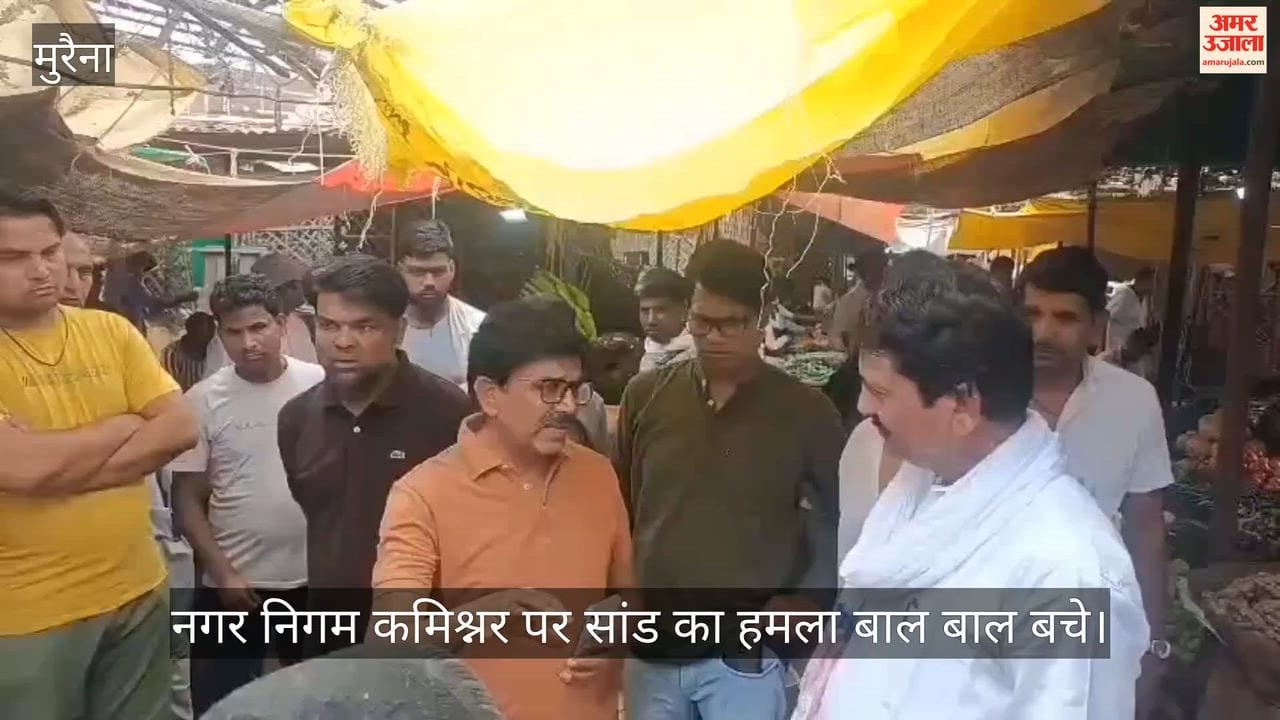 A bull attacked the commissioner during a vegetable market inspection, but the MLA saved him.