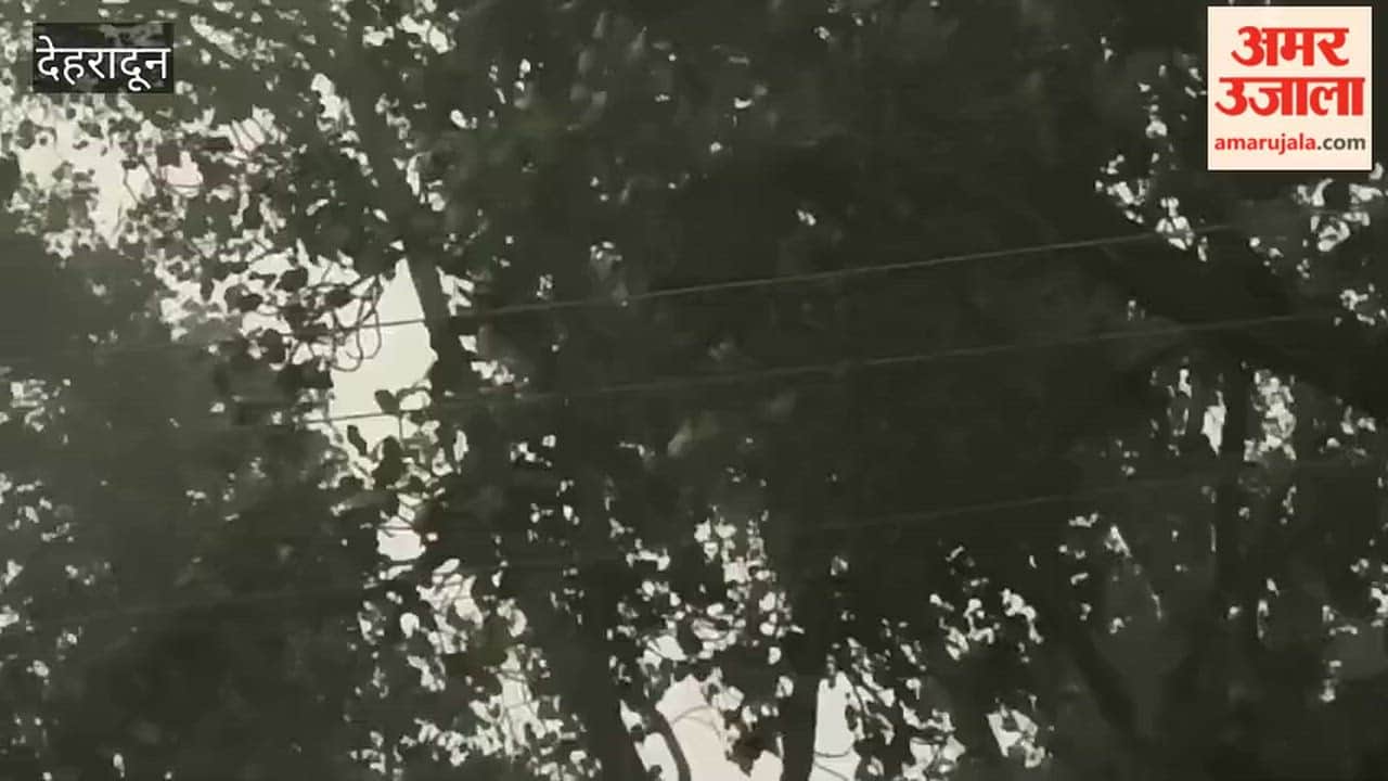 VIDEO: Rain and Hailstorm Accompanied by Strong Winds in the Jolly Grant Area