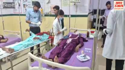 Tata Ace Overturns in Bhiwani After Dog Runs in Front; Five Injured