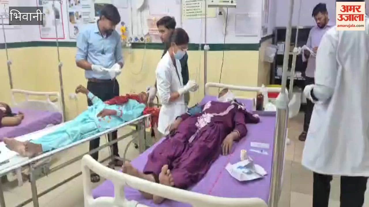 Tata Ace Overturns in Bhiwani After Dog Runs in Front; Five Injured