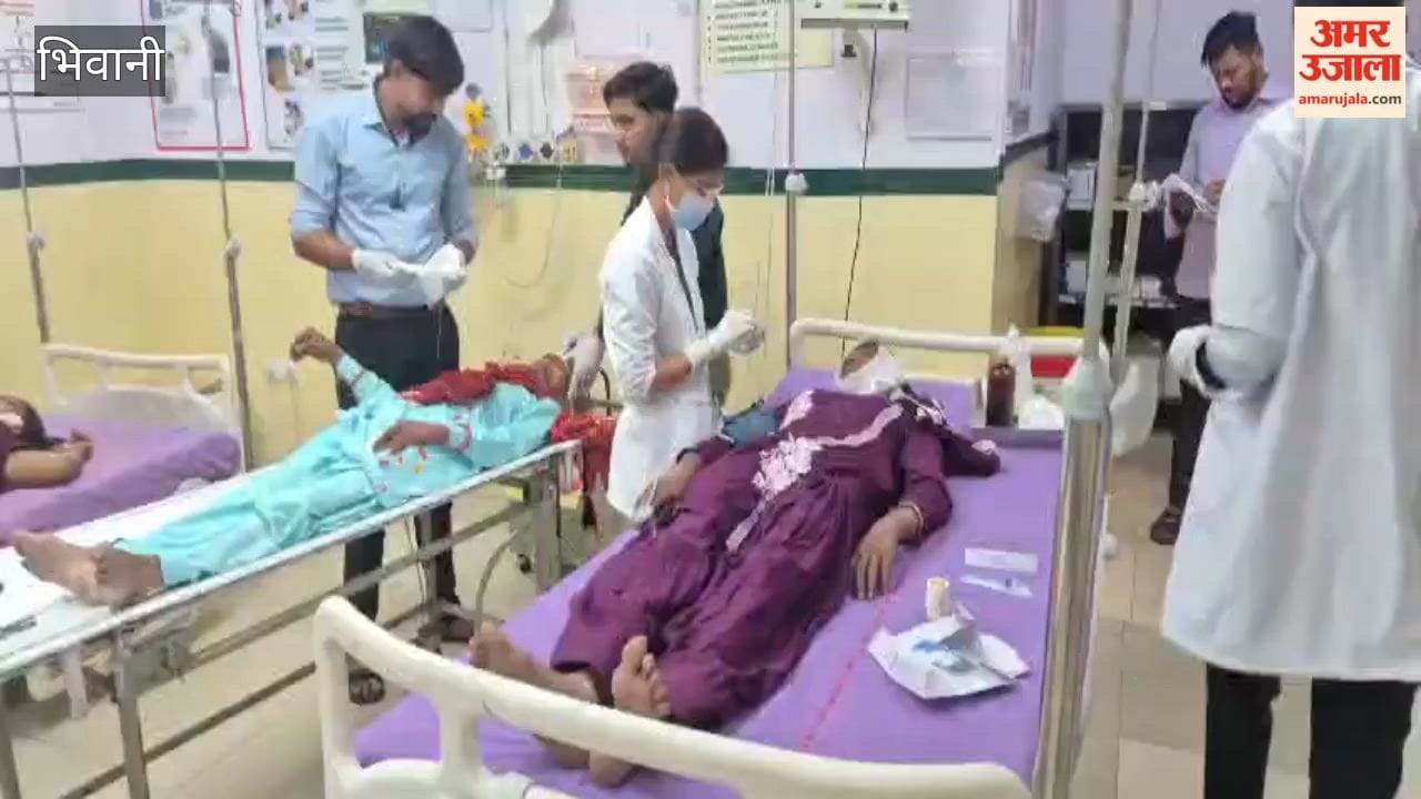 Tata Ace Overturns in Bhiwani After Dog Runs in Front; Five Injured