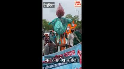 BJP workers organised a public outrage women's march and burnt effigies of Rahul and Akhilesh.