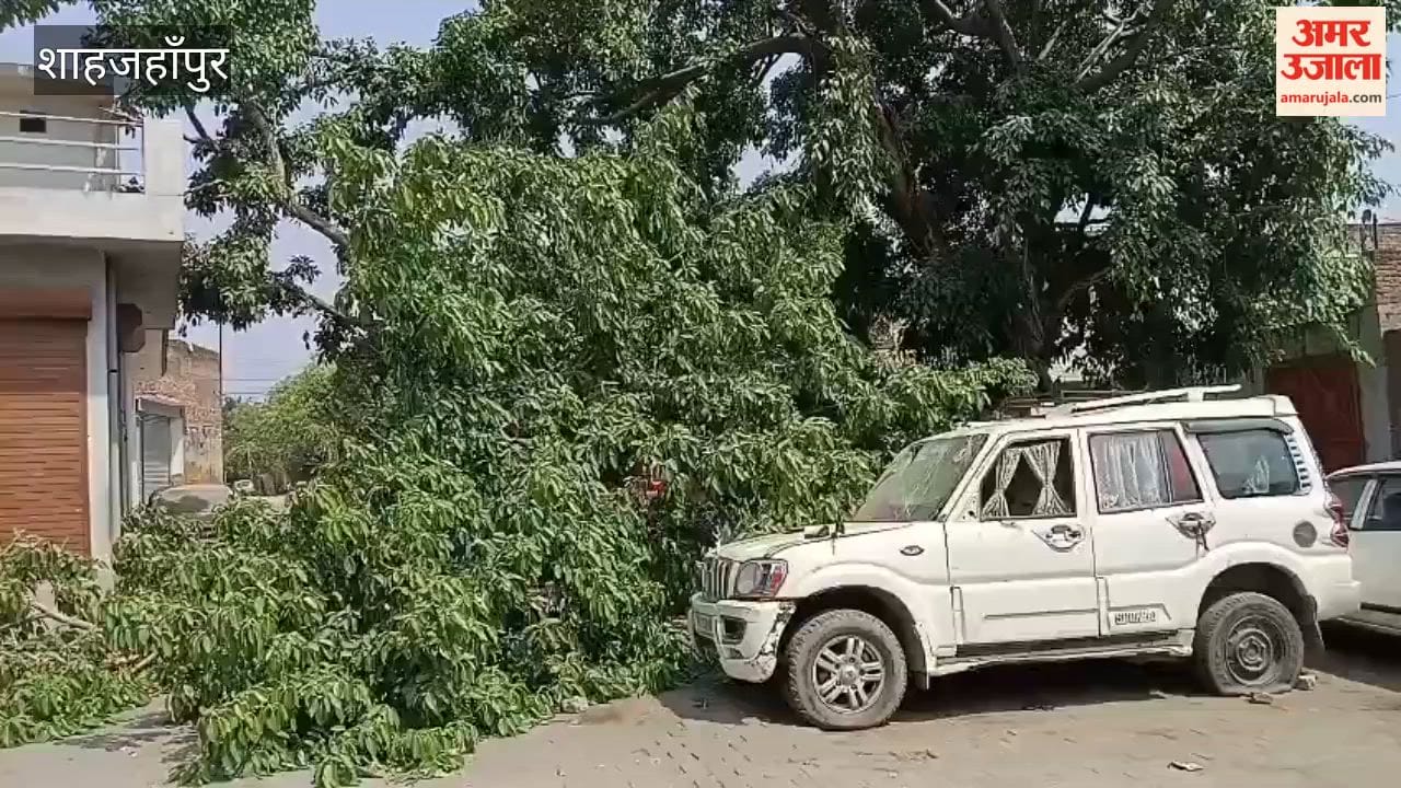 Strong winds and rain caused trees to fall in Shahjahanpur