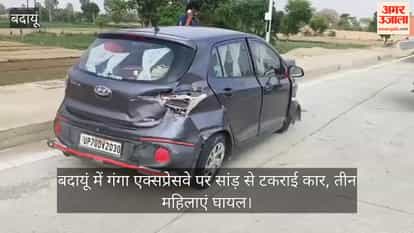 Car Collides with Bull on Ganga Expressway in Budaun