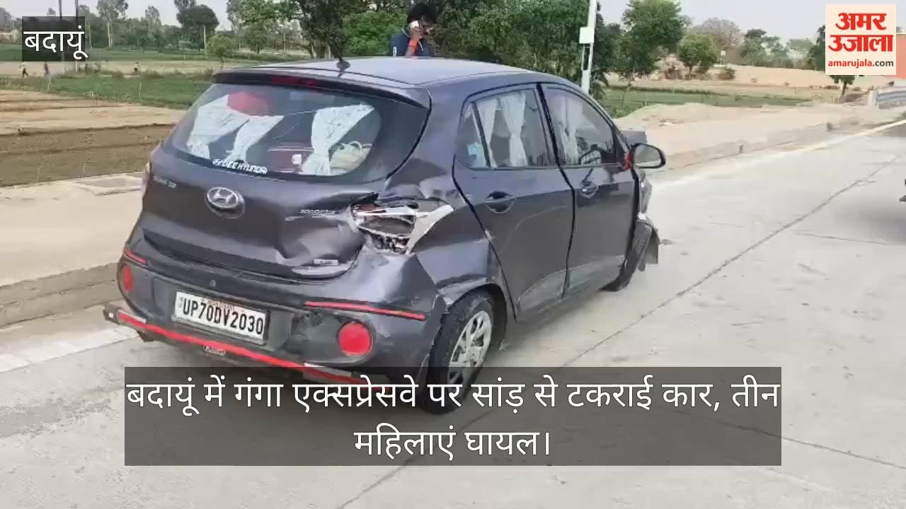 Car Collides with Bull on Ganga Expressway in Budaun
