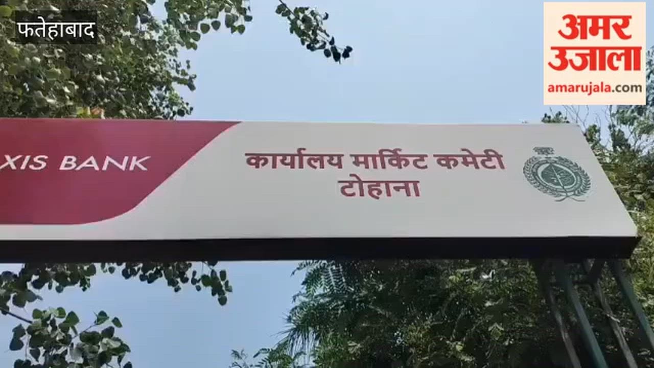 Farmers Stage Uproar in Tohana, Fatehabad: 72-Hour Promise Broken—No Payment Even After a Month