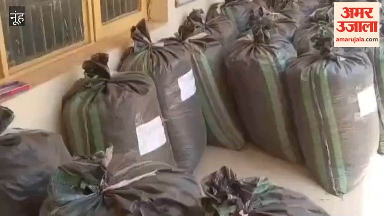 Two smugglers arrested with 607 kg poppy seeds in Nuh