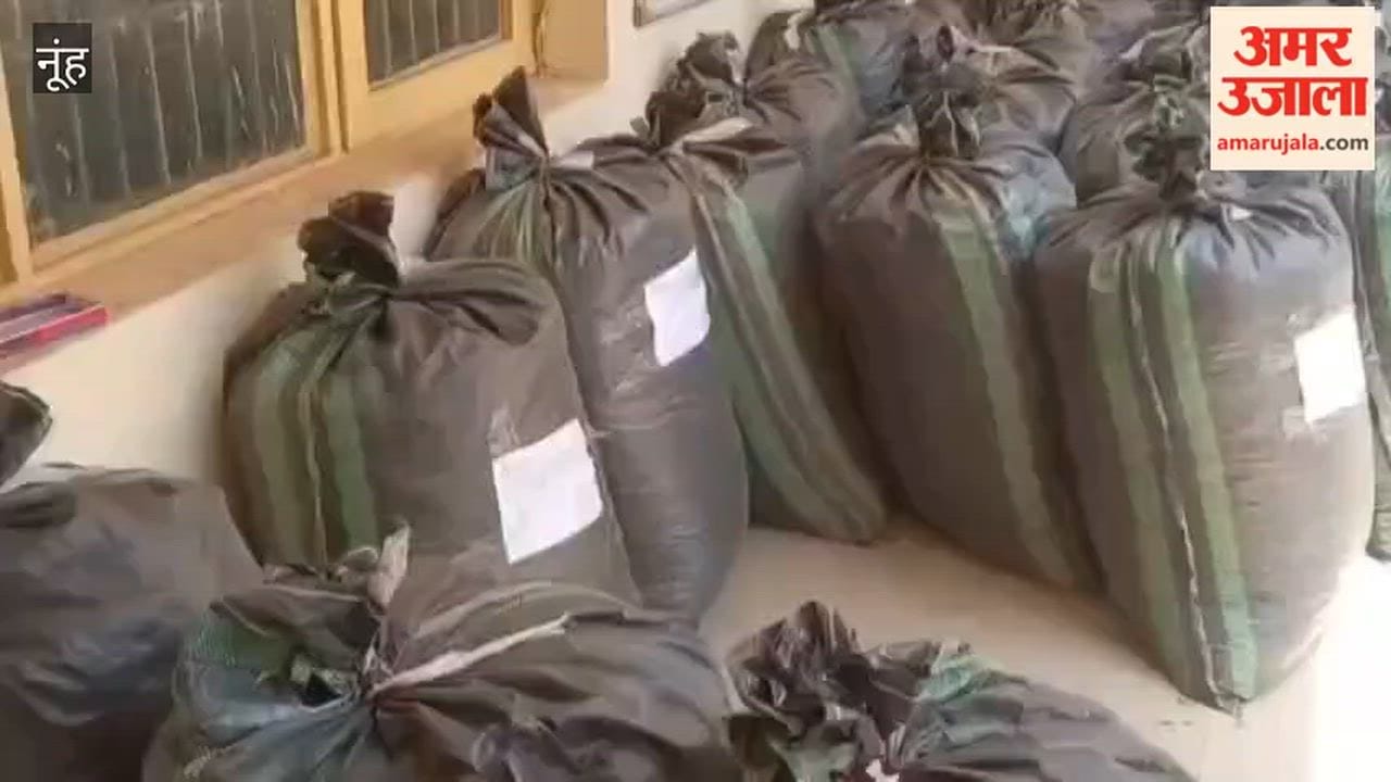 Two smugglers arrested with 607 kg poppy seeds in Nuh