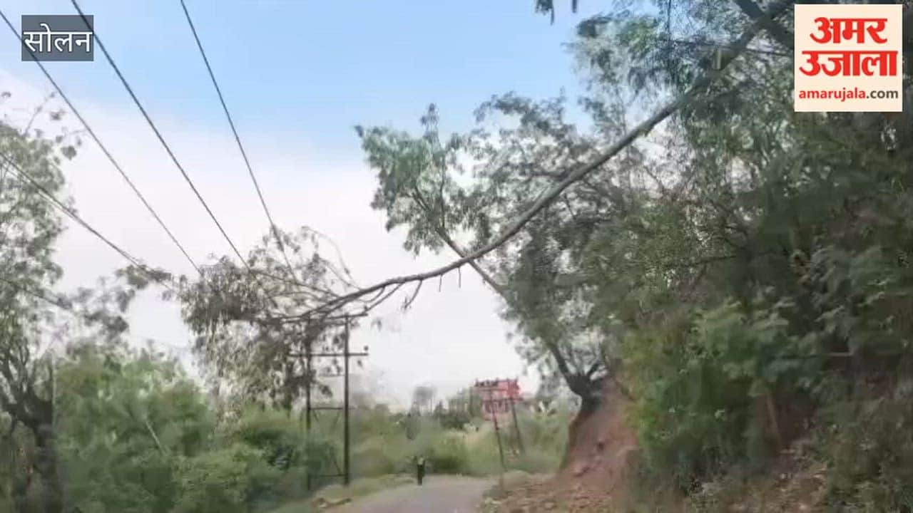 Solan: Sagging Power Line on Bhatolikala Road Poses Danger; Villagers Fear Accident
