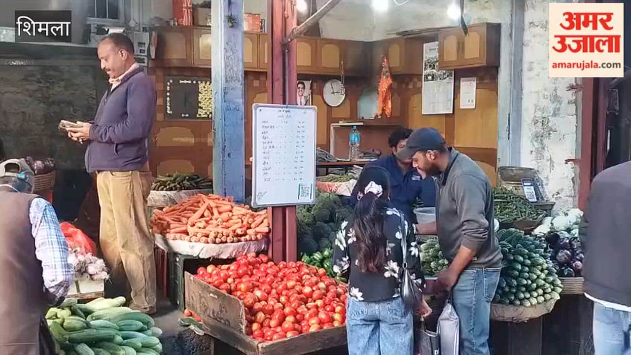 Video: Vegetable Prices Normal at Shimla Vegetable Market; Green Vegetables Selling for ₹20 to ₹60 Per Kilogram