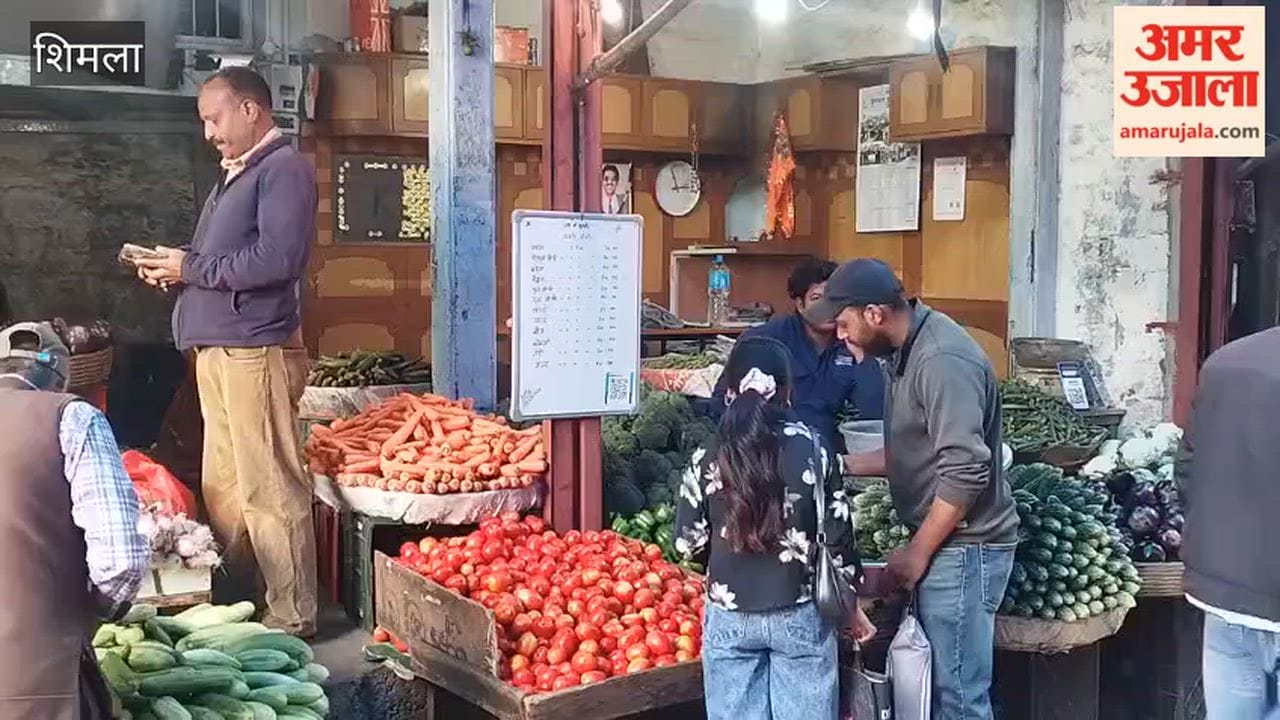 Video: Vegetable Prices Normal at Shimla Vegetable Market; Green Vegetables Selling for ₹20 to ₹60 Per Kilogram