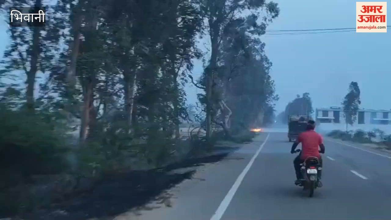 74 cases related to stubble burning were registered online in Bhiwani, with FIRs filed in 18 cases