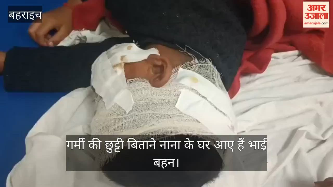 VIDEO: तालाब के किनारे खेल रहे भाई-बहन पर सियार का हमला, गंभीर