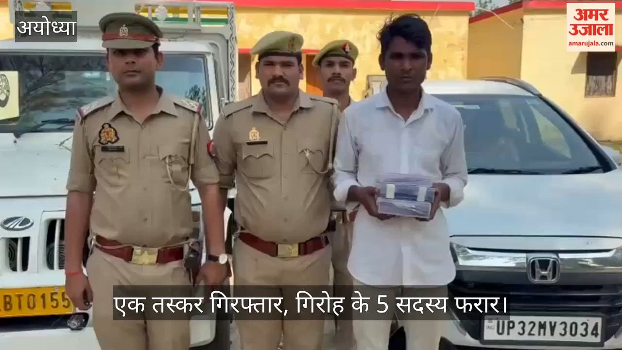 VIDEO: वध के लिए ले जाए जा रहे 27 गोवंश मुक्त, तारून पुलिस को मिली बड़ी सफलता, एक तस्कर गिरफ्तार
