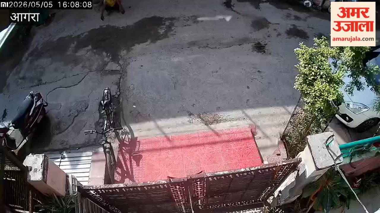 Bicycle Stolen Outside House Theft Caught on CCTV